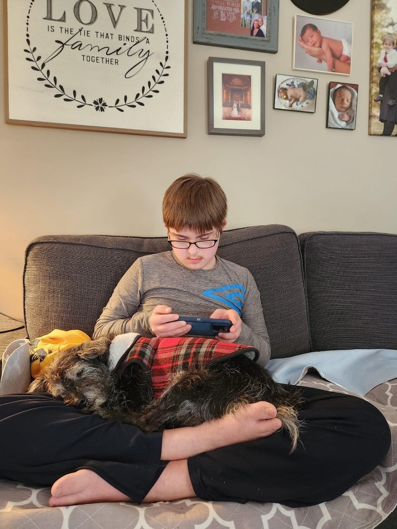 Georgie, Adopted, Senior Male Terrier.