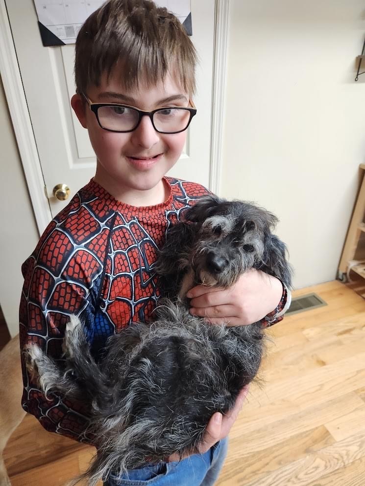 Enlarge Georgie, a Adopted mixed breed in Charlotte, NC image 6/6