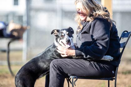 Shiva Fka Dog thumbnail 2