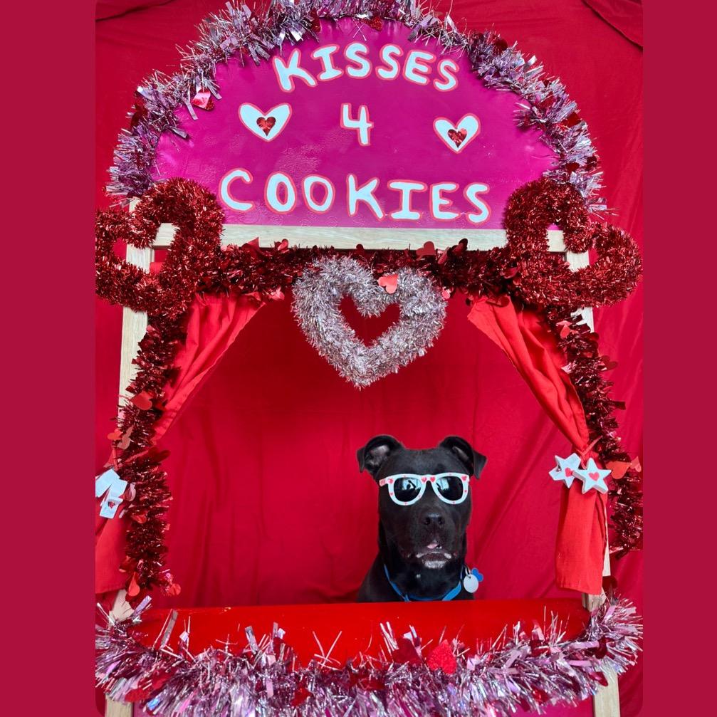 Hemi — thumbnail 2