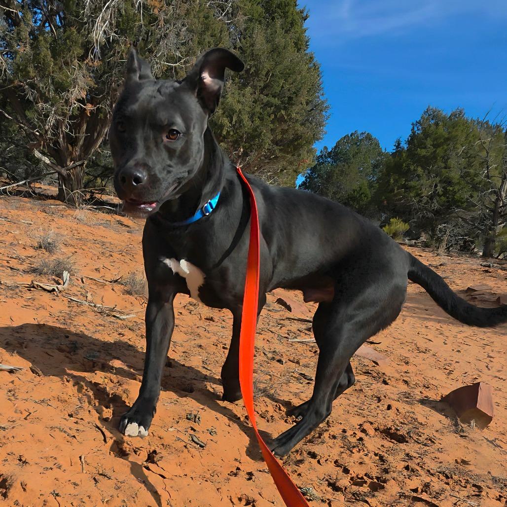 Hemi — thumbnail 4