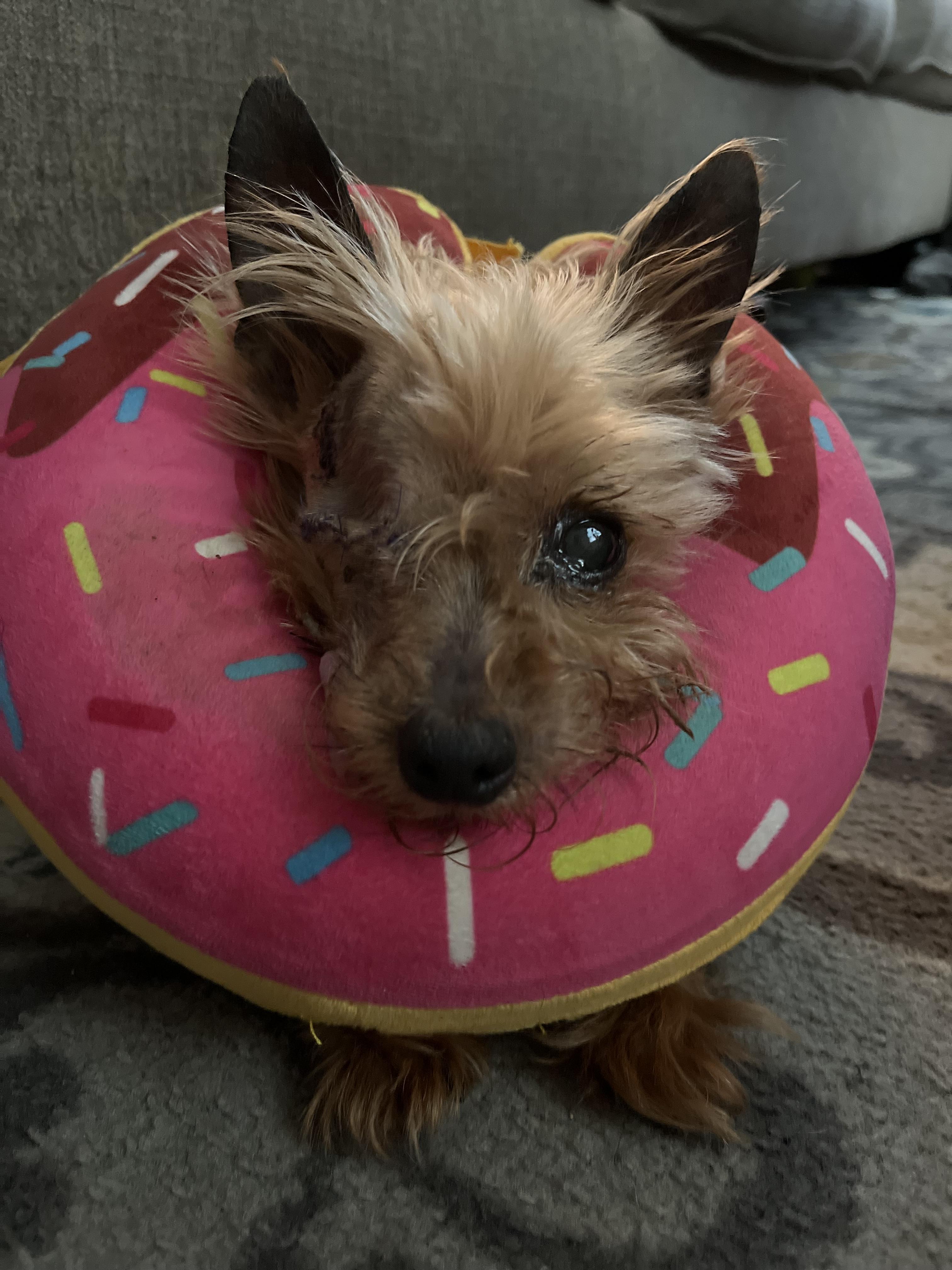 Nora