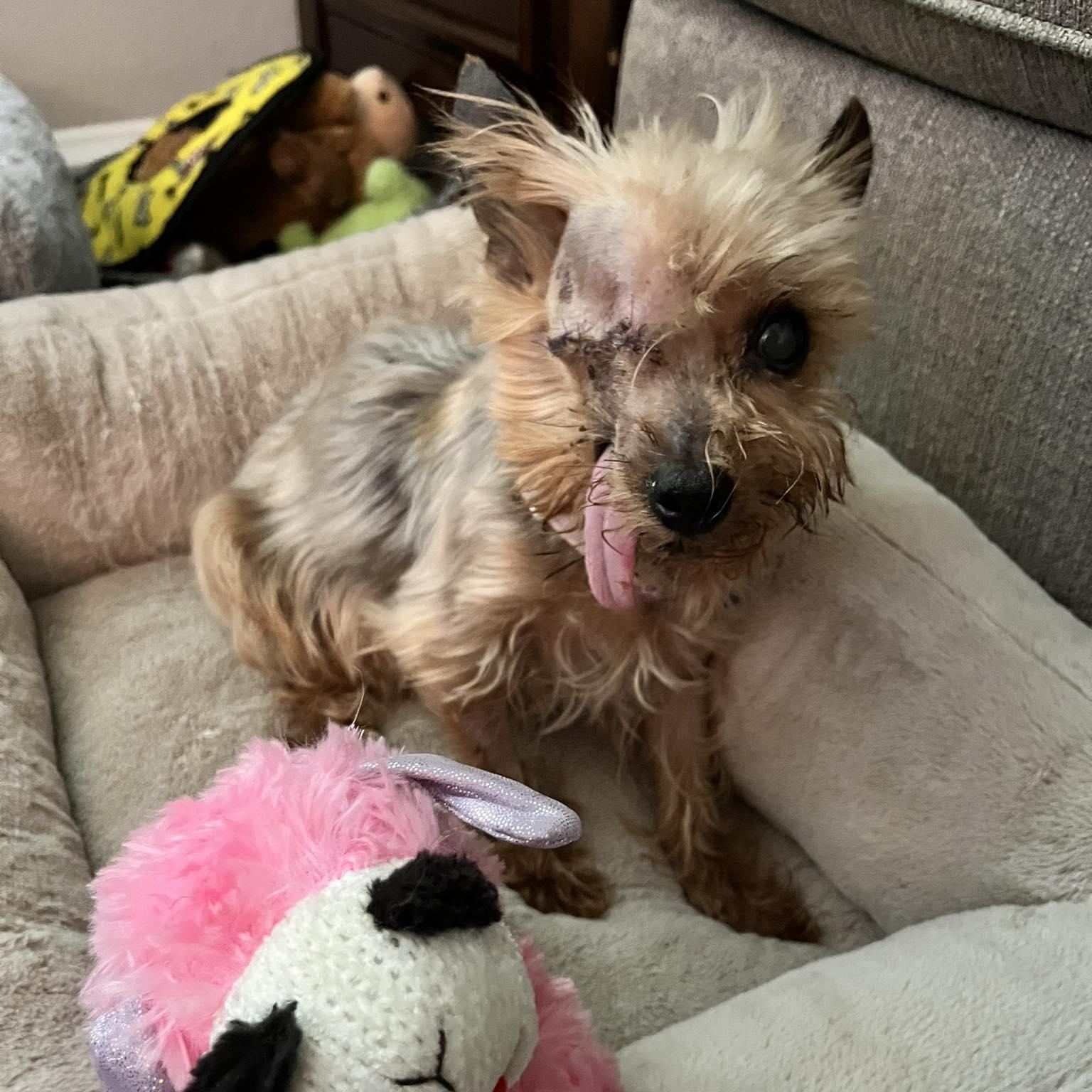 Nora