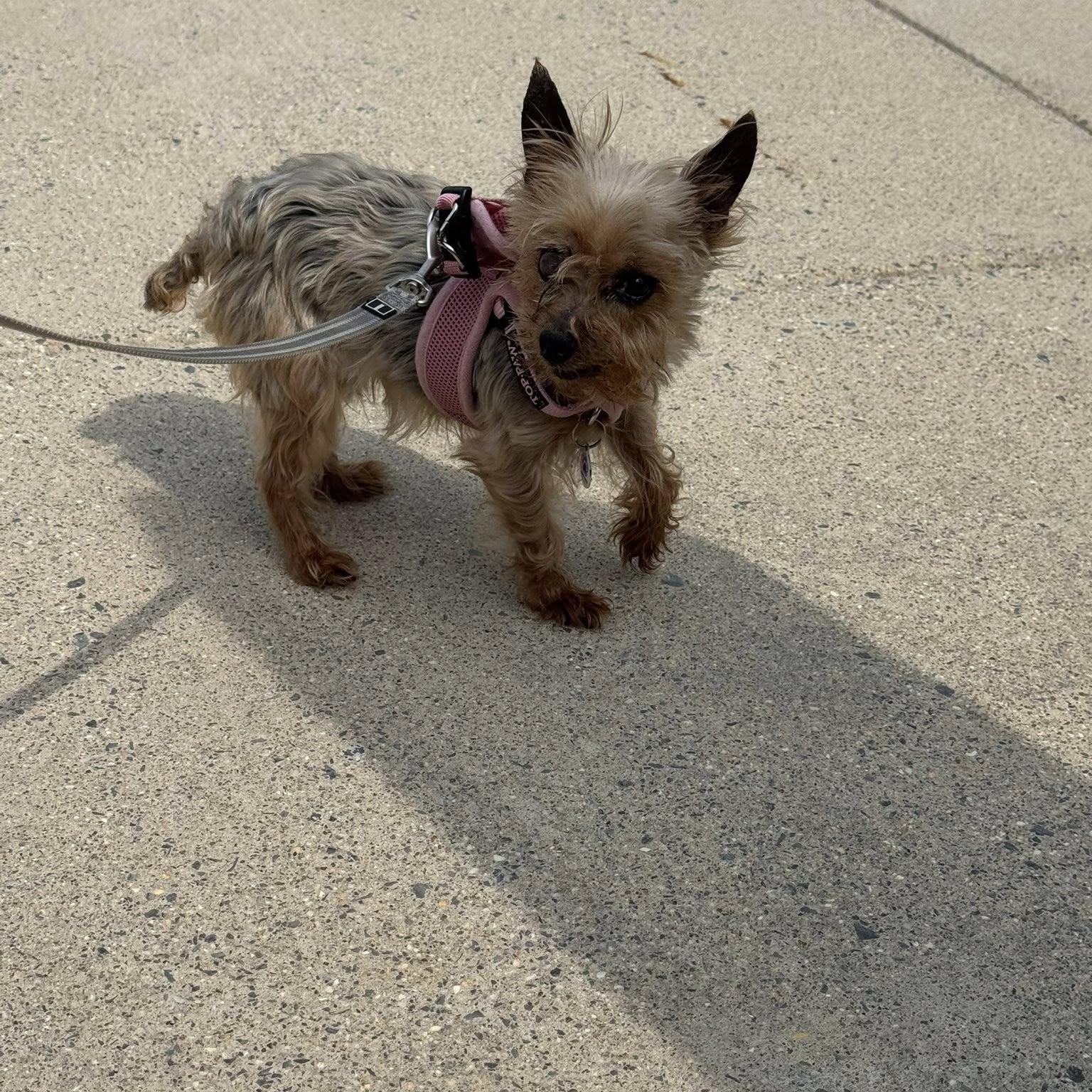 Nora