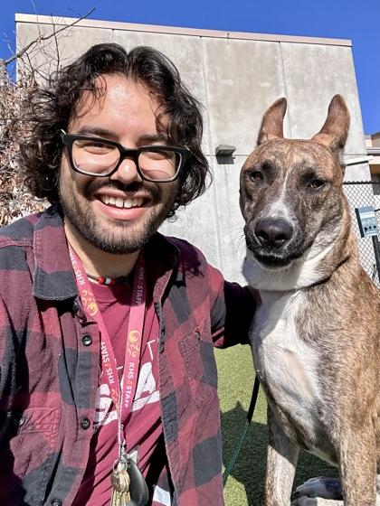 Enlarge Chip, a Adoptable mixed breed in Wichita, KS image 3/3