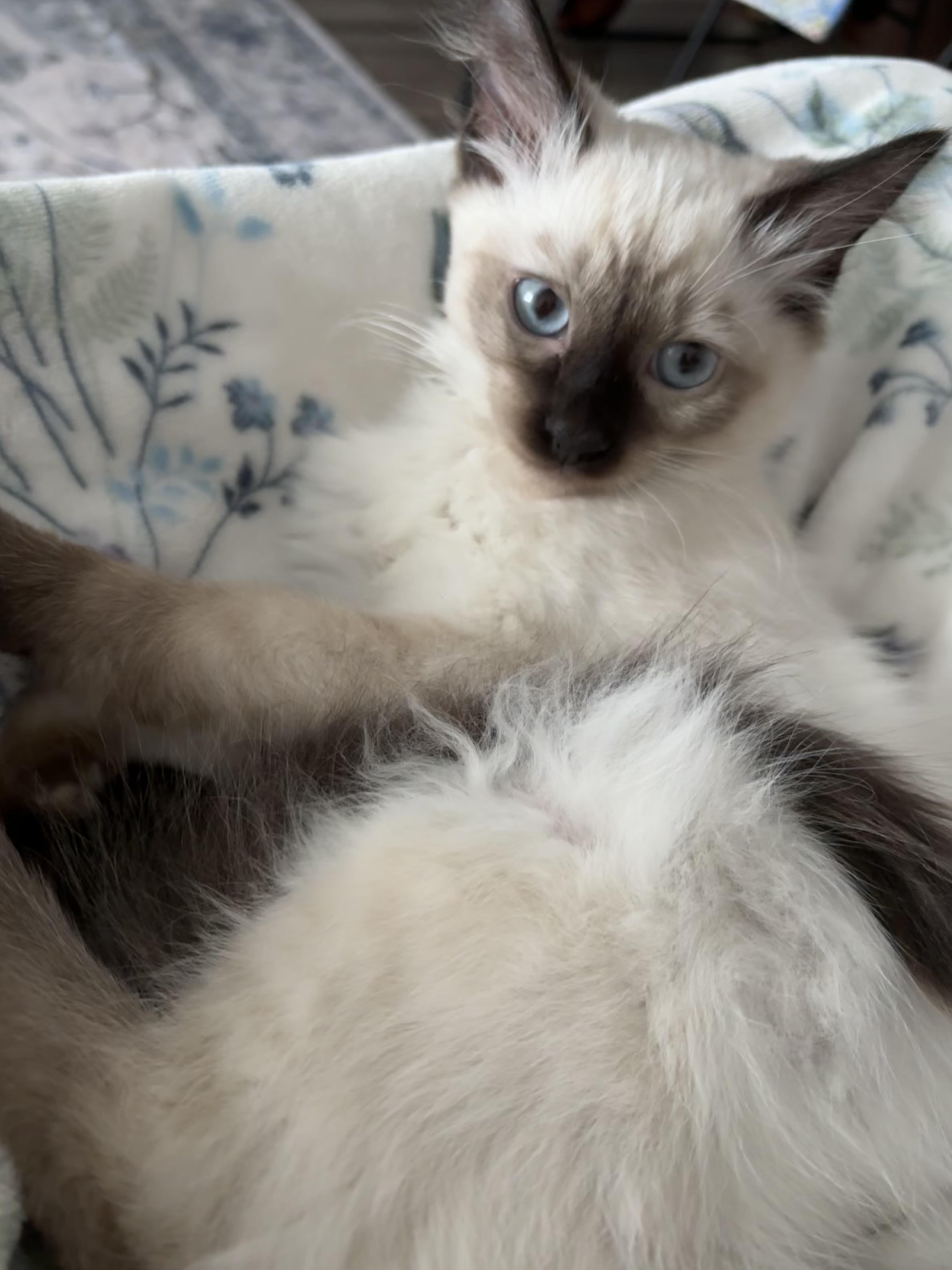 Tic-Tac — thumbnail 3