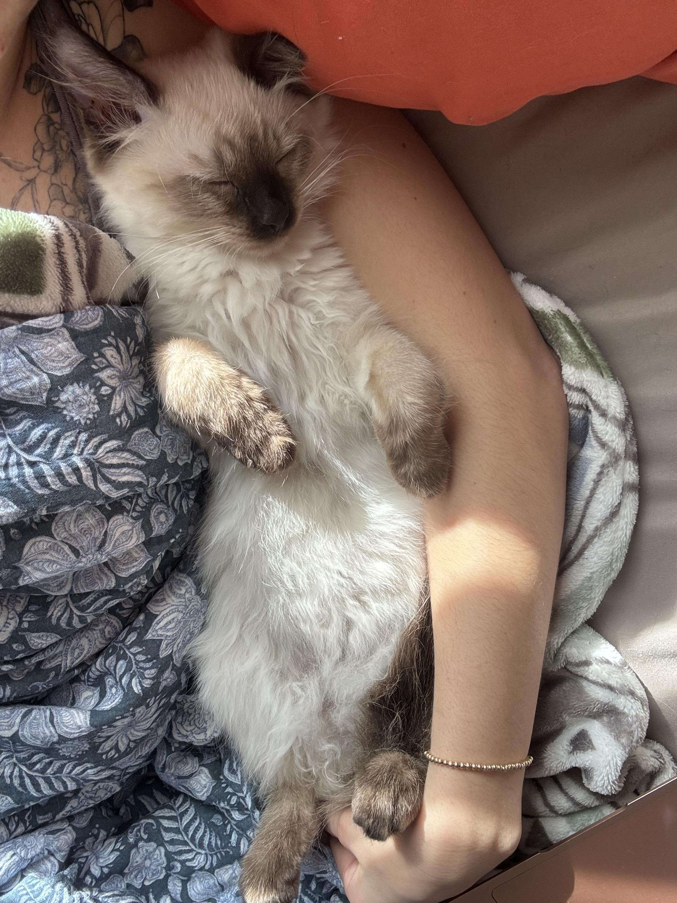 Tic-Tac — thumbnail 4