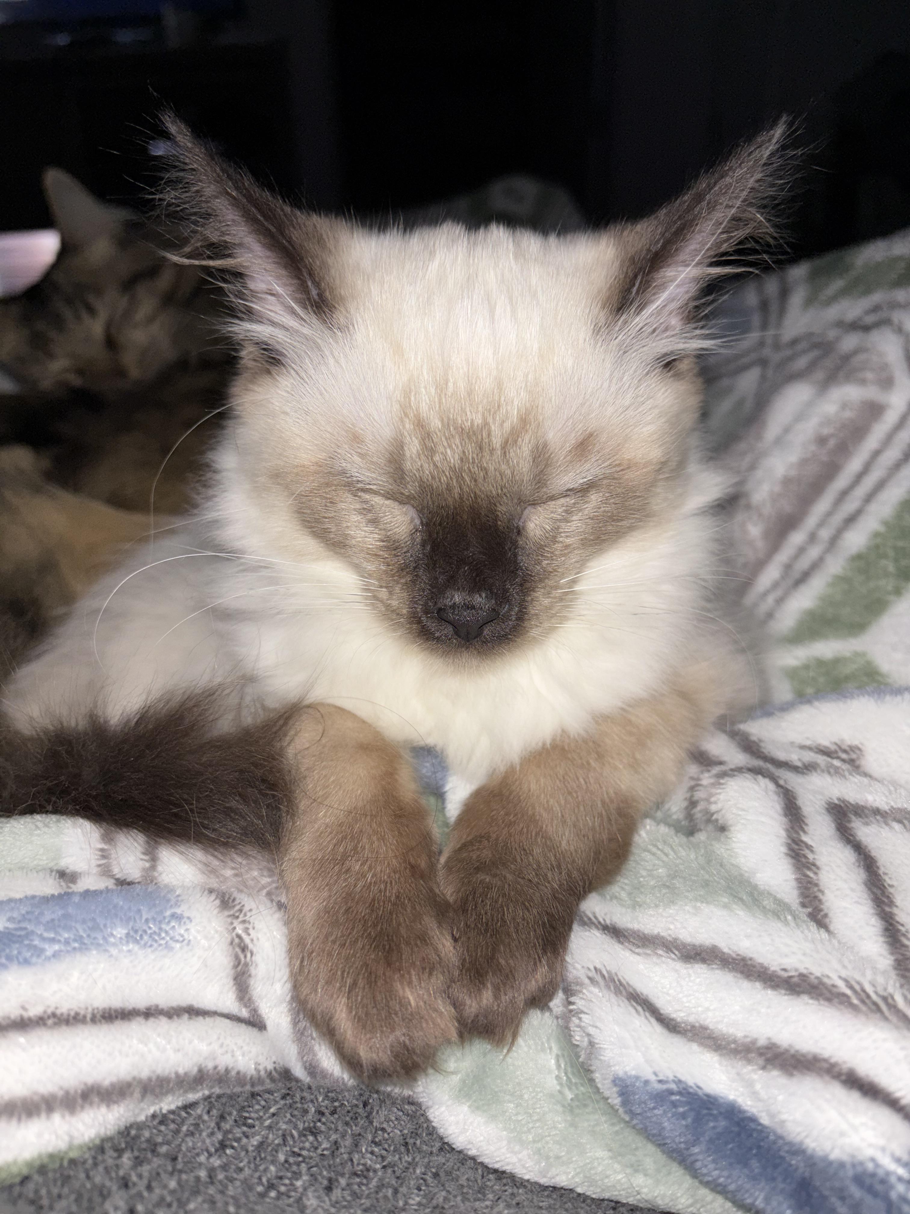 Tic-Tac — thumbnail 5