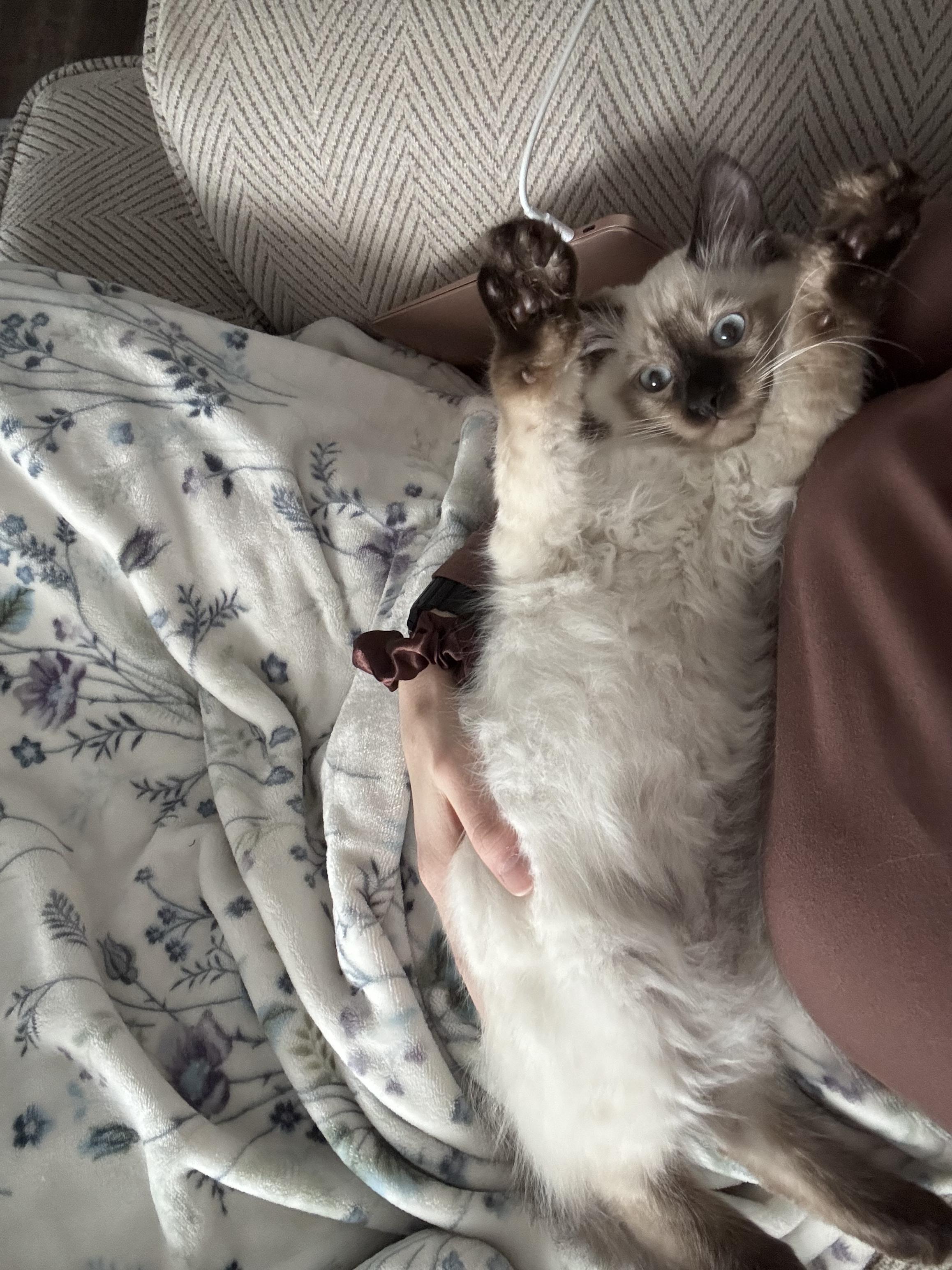 Tic-Tac — thumbnail 6