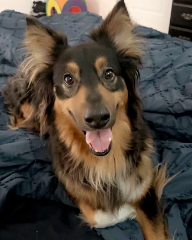 Cairo — thumbnail 2