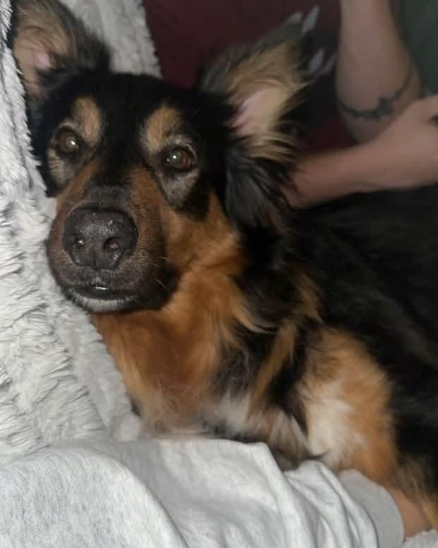 Cairo — thumbnail 5