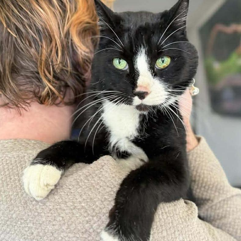 Grand Prince — thumbnail 5