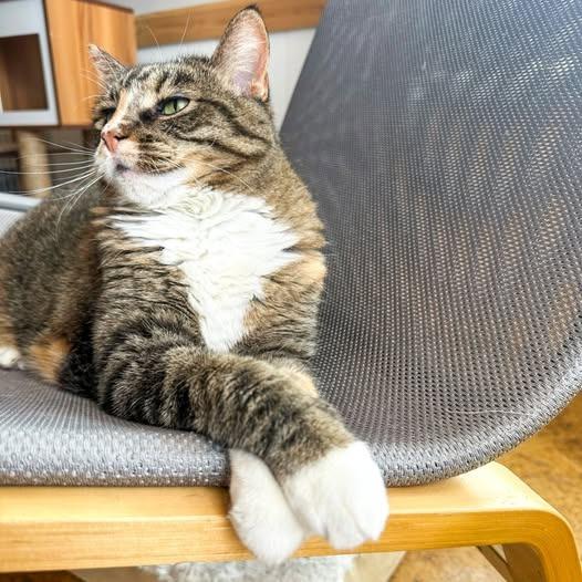 Sunni — thumbnail 4