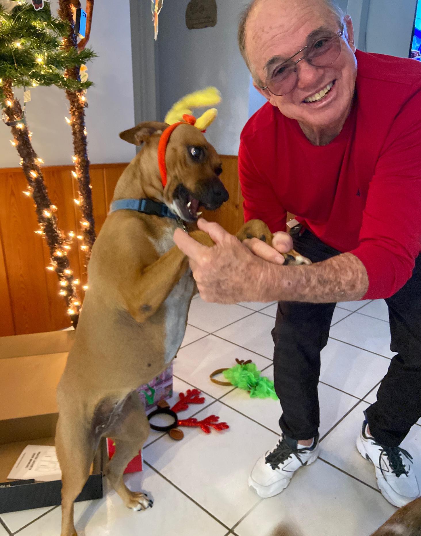 Enlarge Bibi, a Adoptable Mixed Breed in Palm springs, FL image 6/6