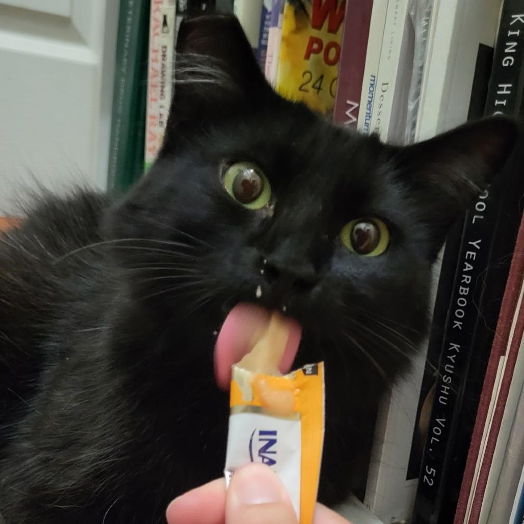 Bebe — thumbnail 3