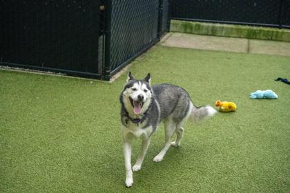 Freya — thumbnail 2