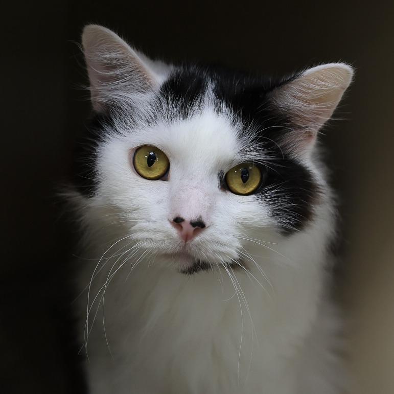 Richie — thumbnail 2