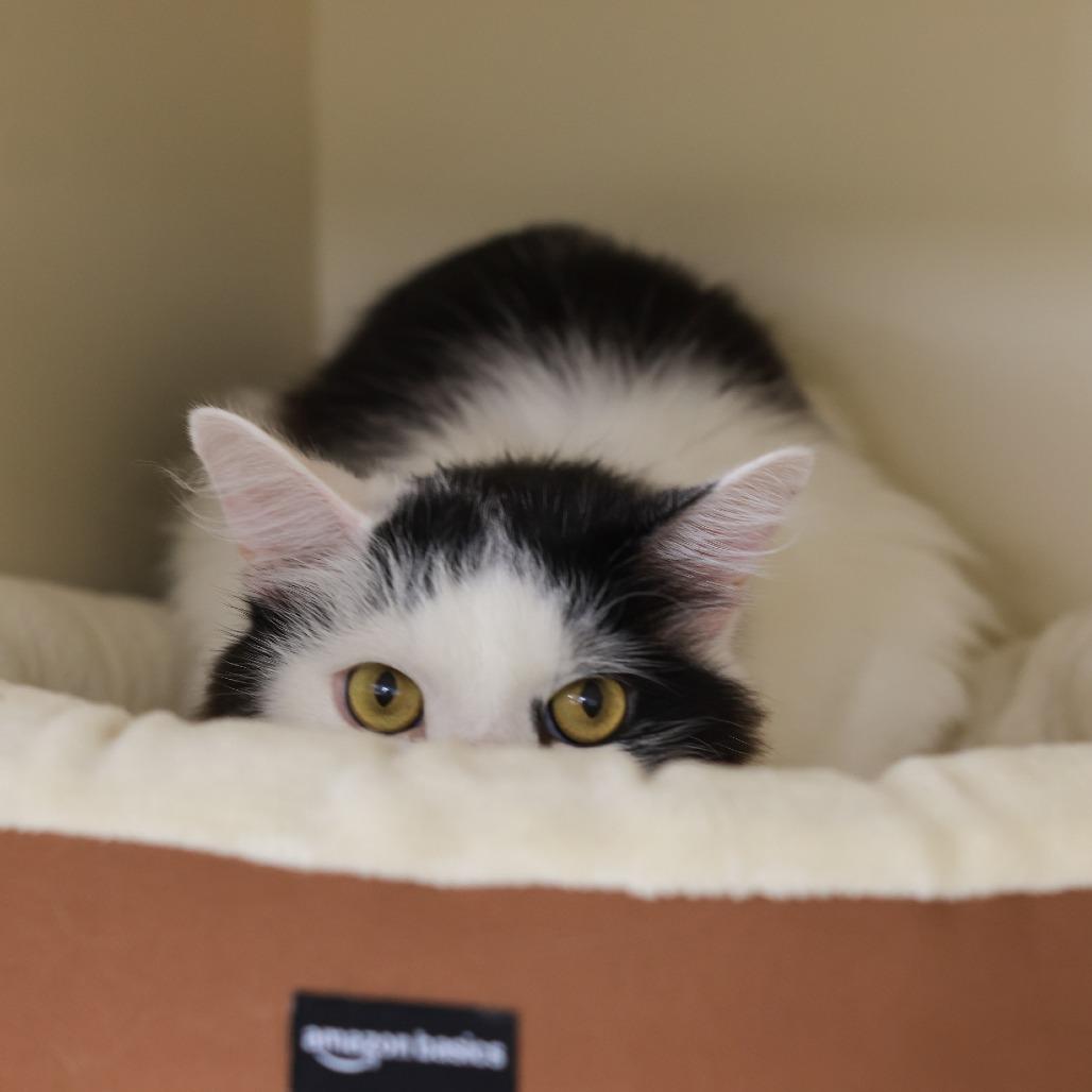 Richie — thumbnail 4