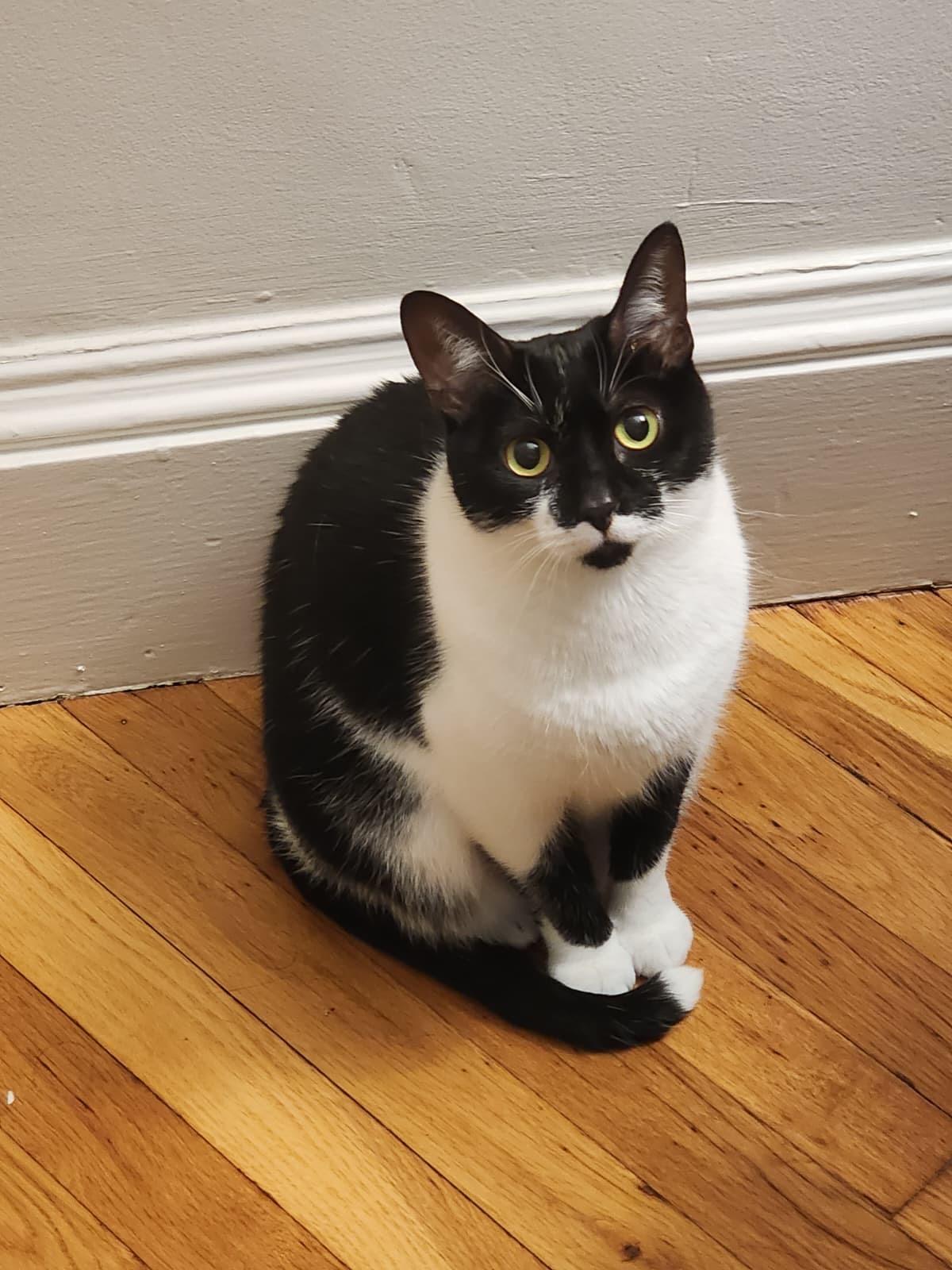 Sabrina