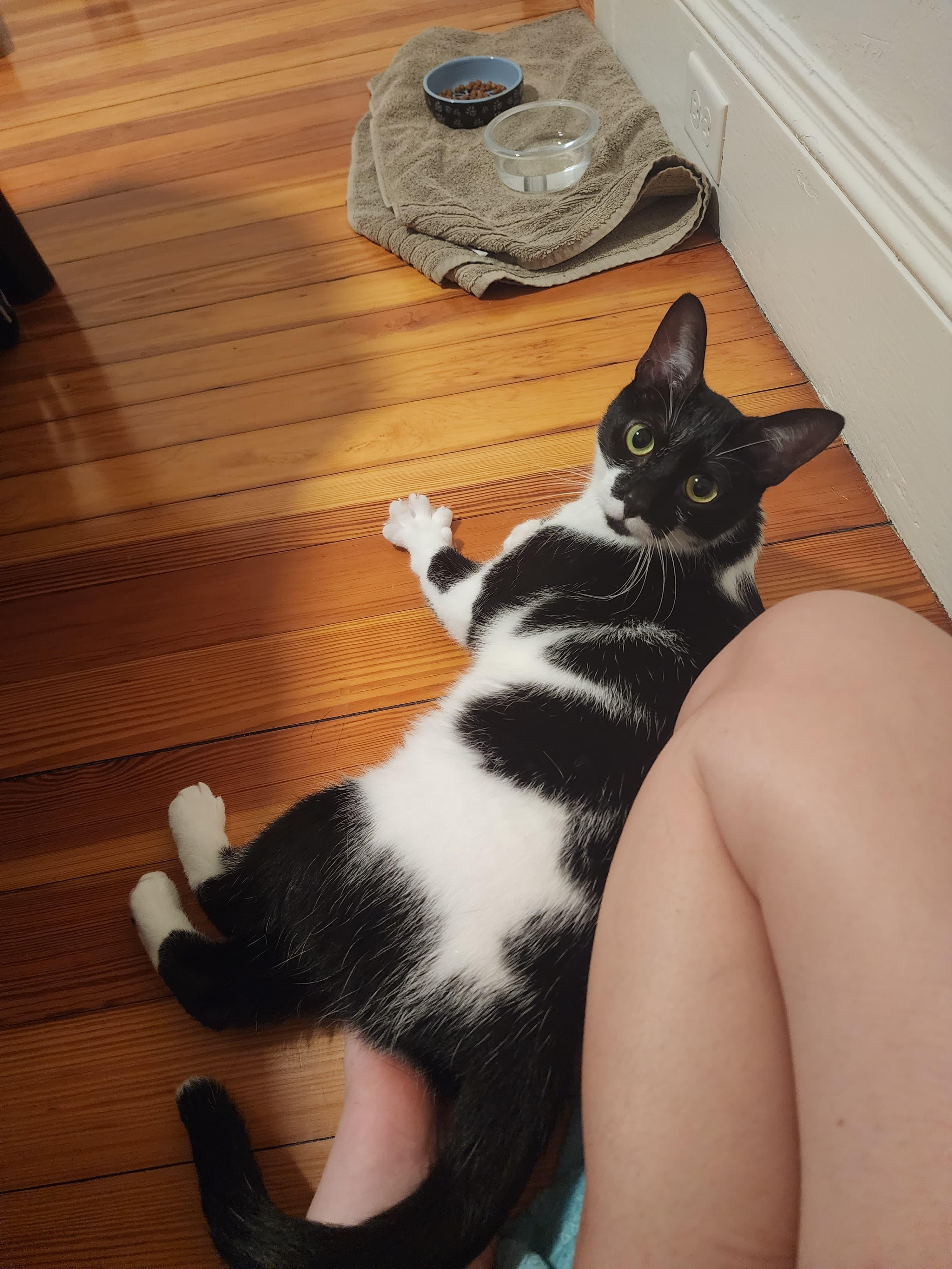 Sabrina
