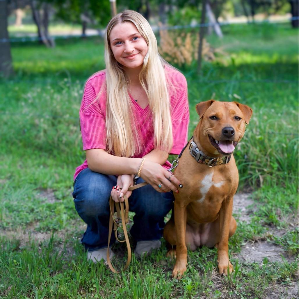 Enlarge Sadie, a Adoptable mixed breed in Cedar Creek, TX image 2/5