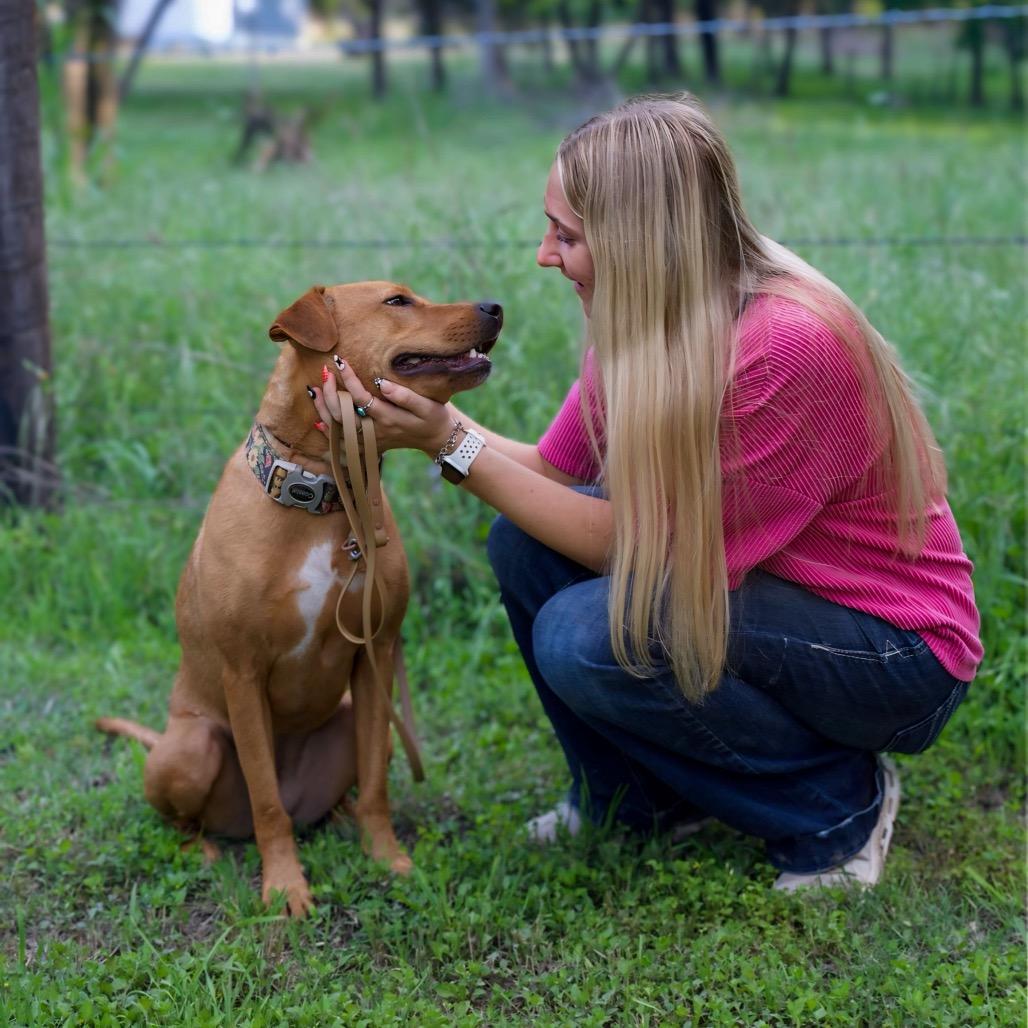 Enlarge Sadie, a Adoptable mixed breed in Cedar Creek, TX image 4/5