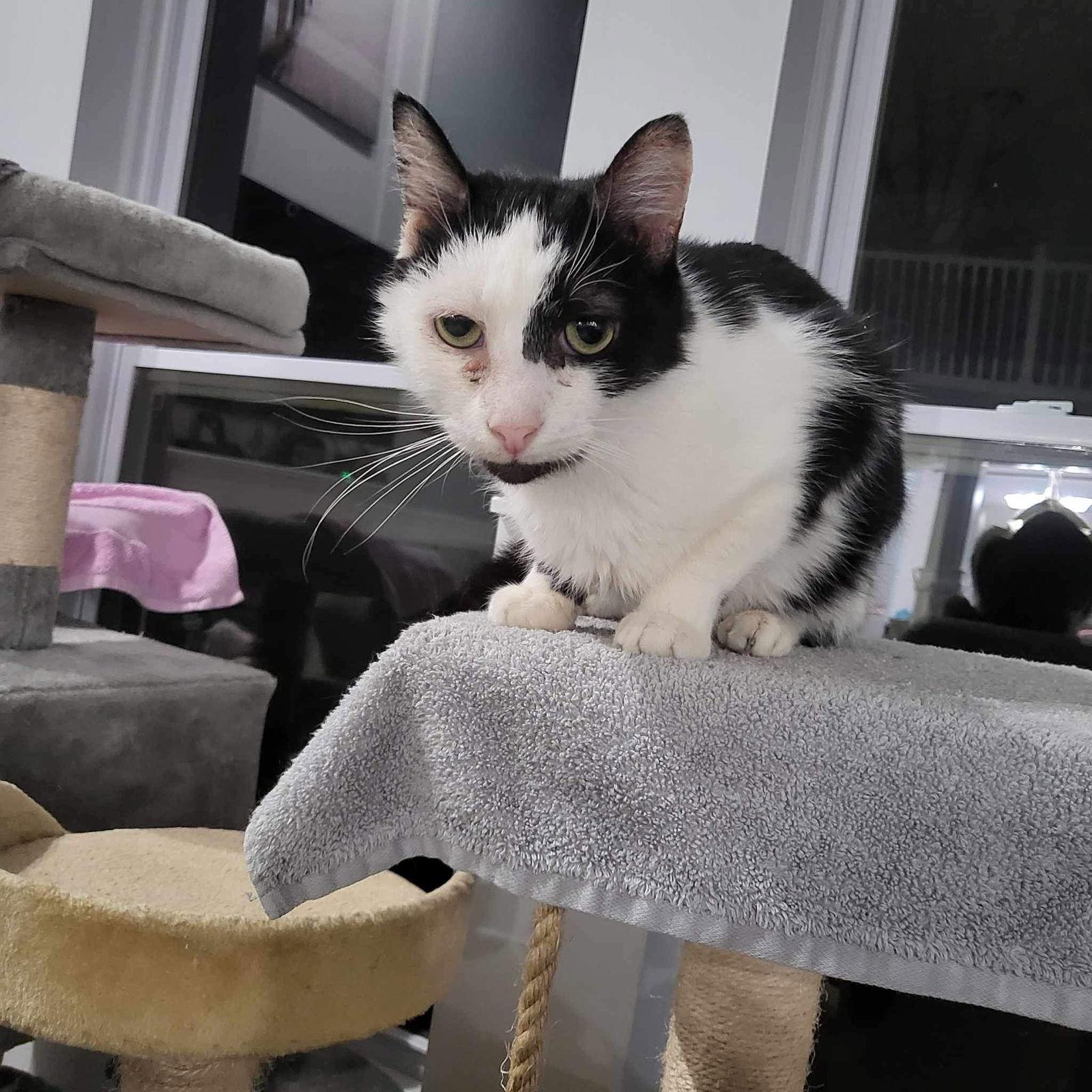 Manny Norton thumbnail 3