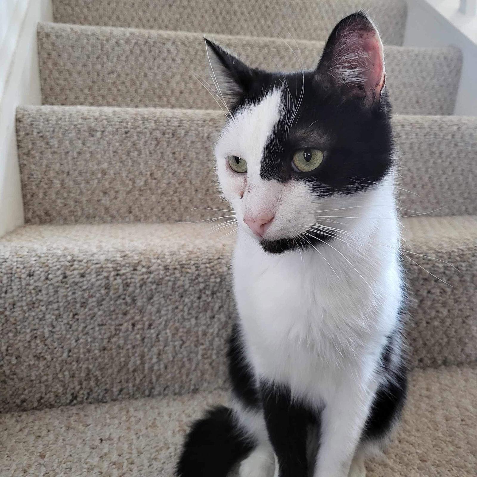 Manny Norton thumbnail 4