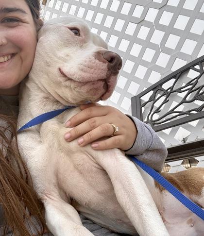 Julius — thumbnail 2