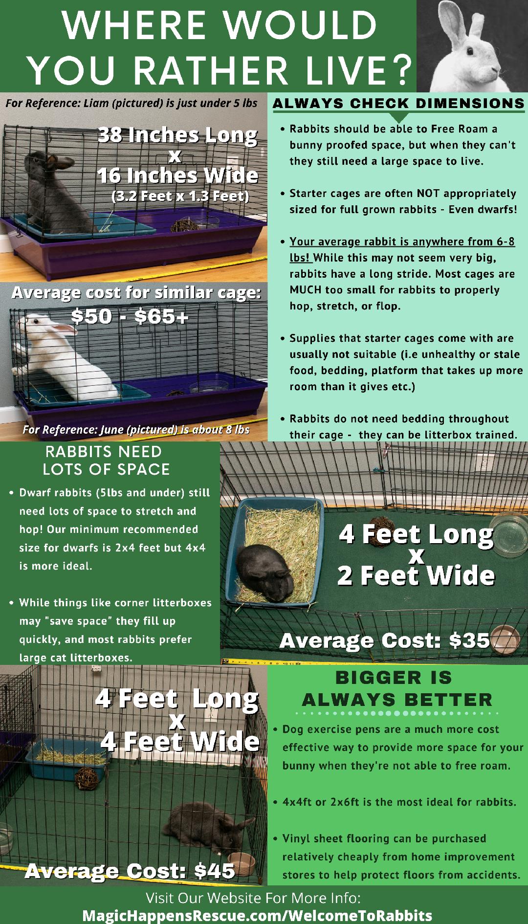 Enlarge Wigglytuff, a Adoptable Bunny Rabbit in Baton Rouge, LA image 2/3