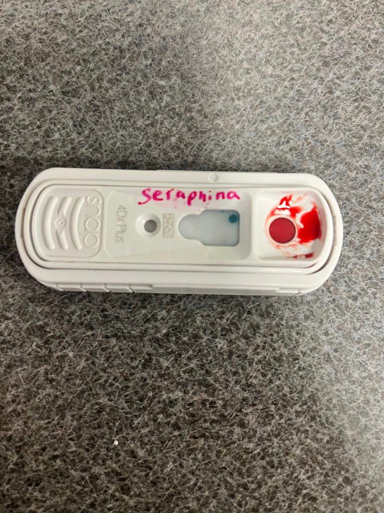 Seraphina, a Adoptable mixed breed in Hopkinsville, KY image 1/2
