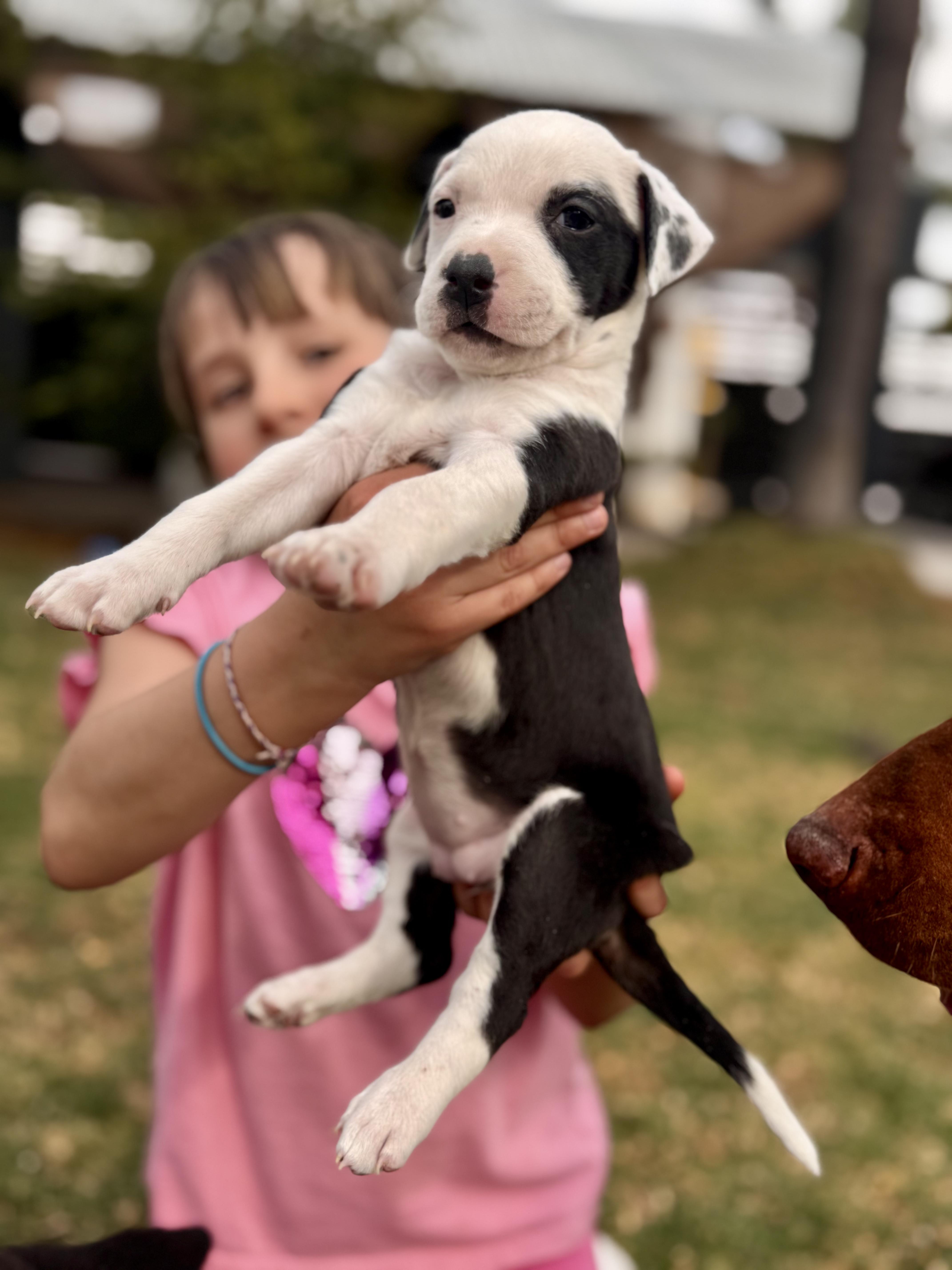 Monica — thumbnail 5