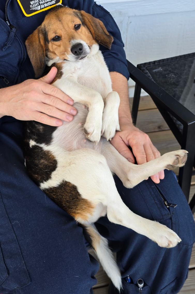 Daisy — thumbnail 2