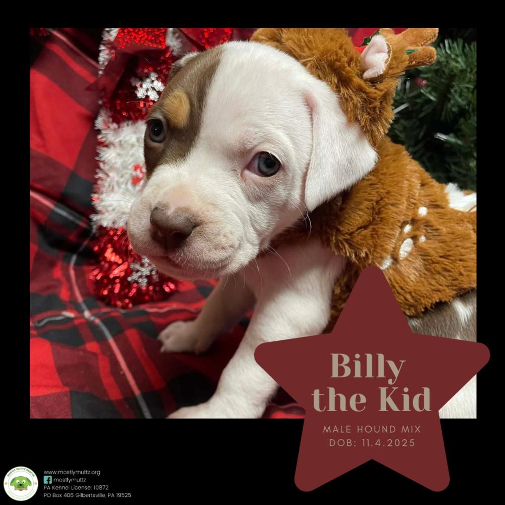 Billy The Kid thumbnail 4