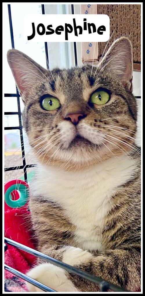 Josephinewillow Grove thumbnail 3