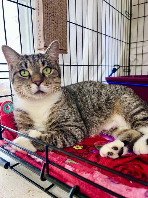 Josephinewillow Grove thumbnail 2