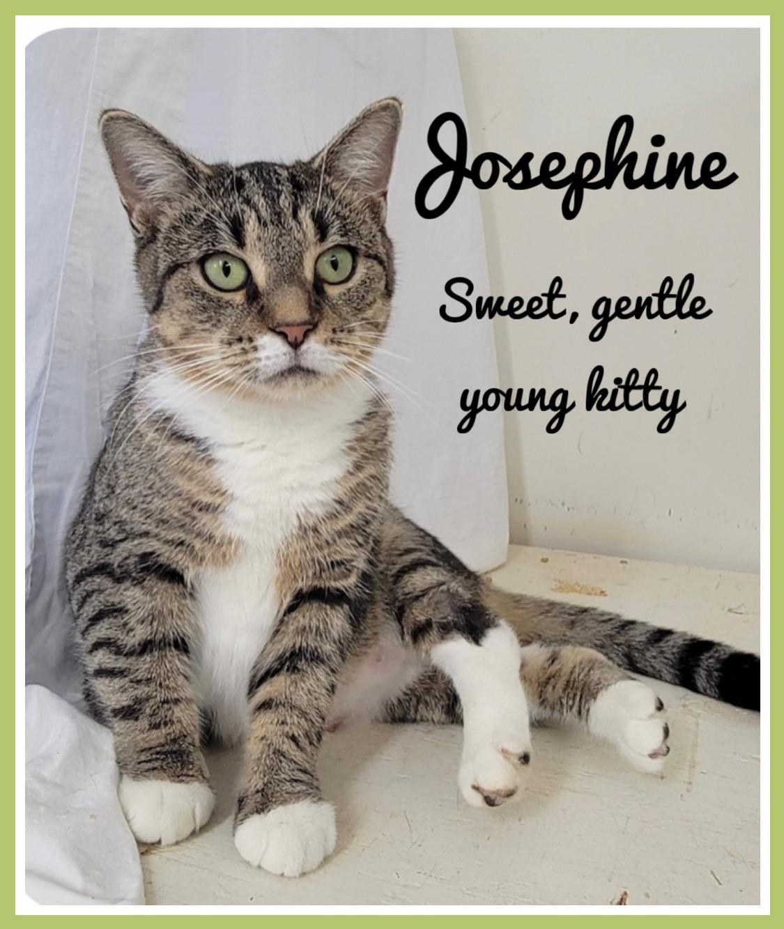 Josephinewillow Grove thumbnail 4