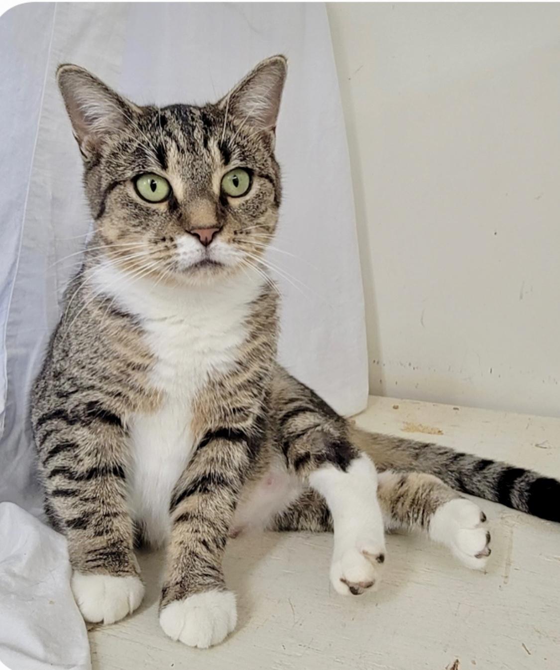 Josephinewillow Grove thumbnail 5