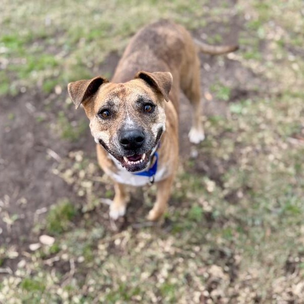 Rita Fajita Homebody Cutie — thumbnail 3