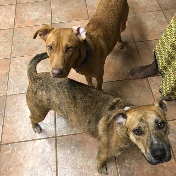 Rita Fajita Homebody Cutie — thumbnail 5