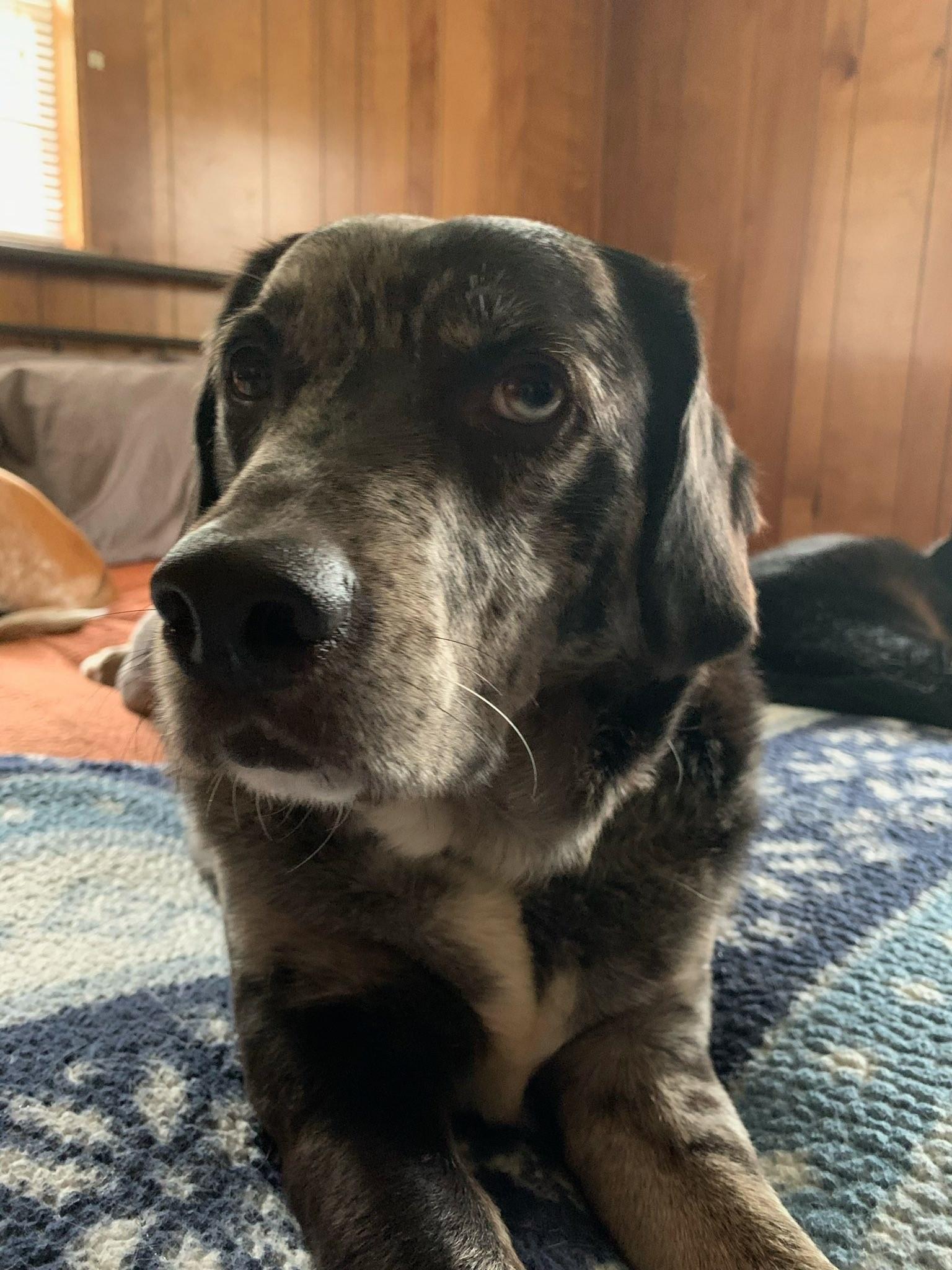 Hank, Senior Male unknown