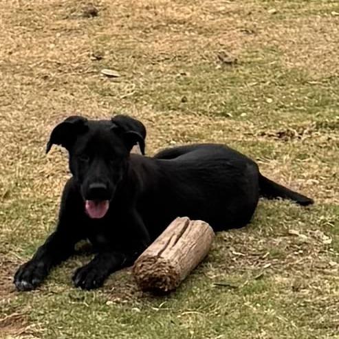 Cinderella KS — thumbnail 4