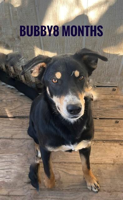 BUBBY — thumbnail 3