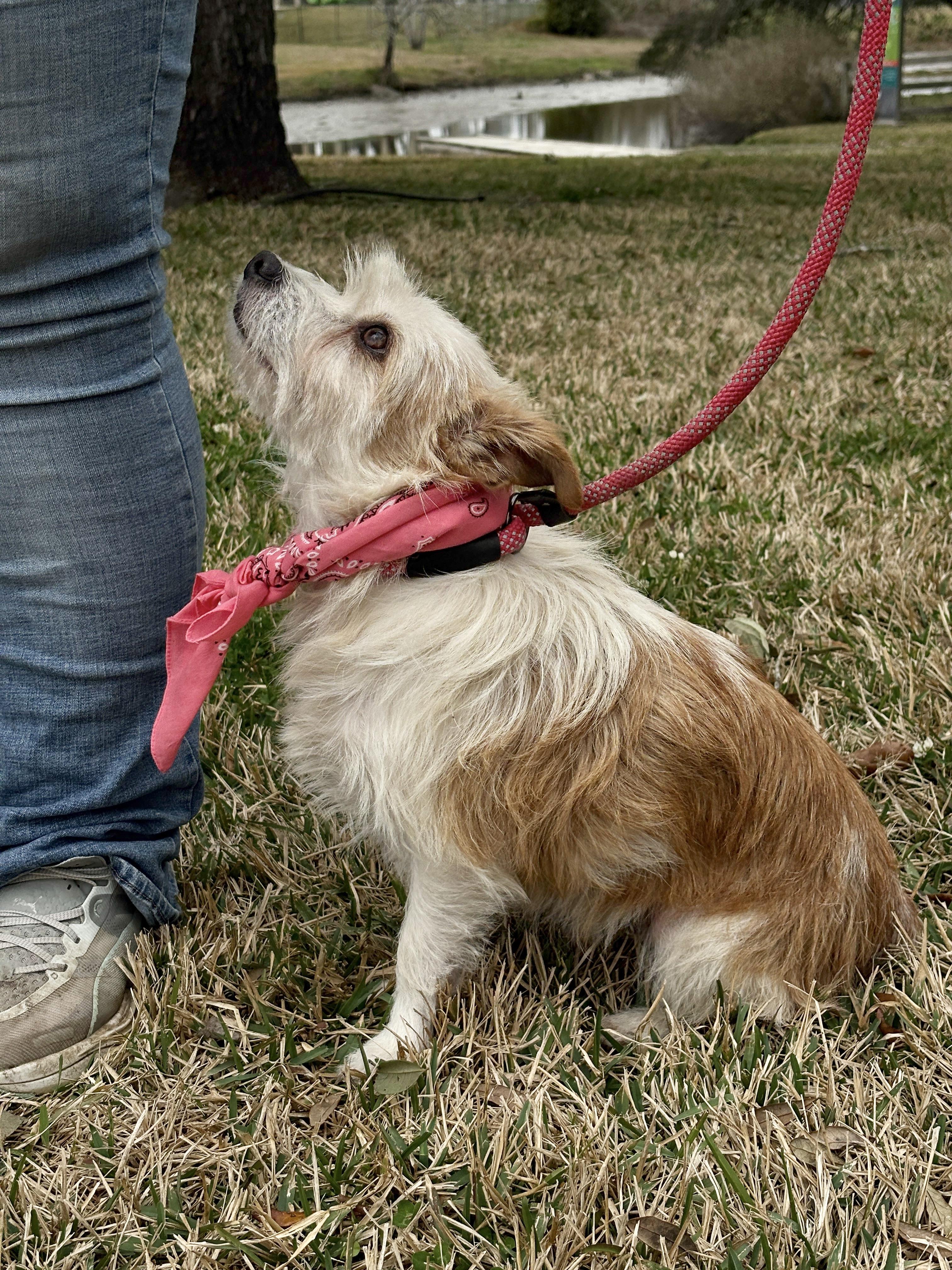 ALLI — thumbnail 4