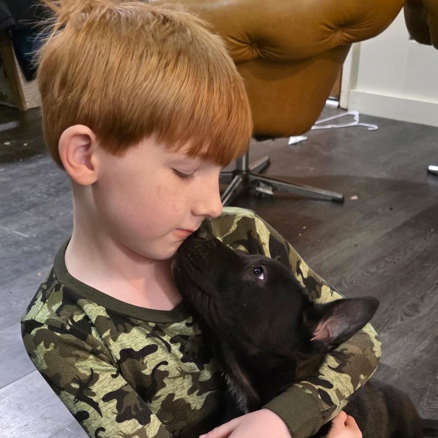 Enlarge VINCENT, a Adoptable mixed breed in Cordova, TN image 4/6