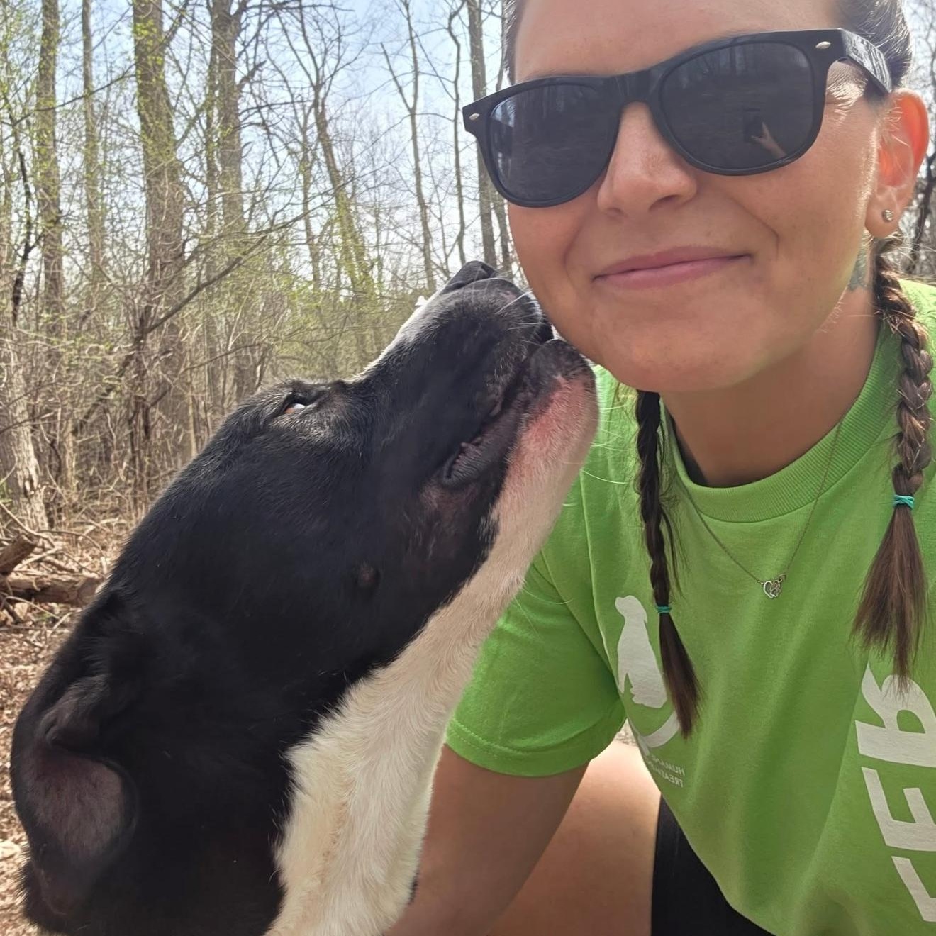 Leland, a Adoptable Pit Bull Terrier in Mount Pleasant, MI image 3/5