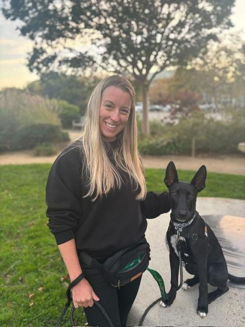 Heathrow, a Adoptable mixed breed in oakland, CA image 1/6