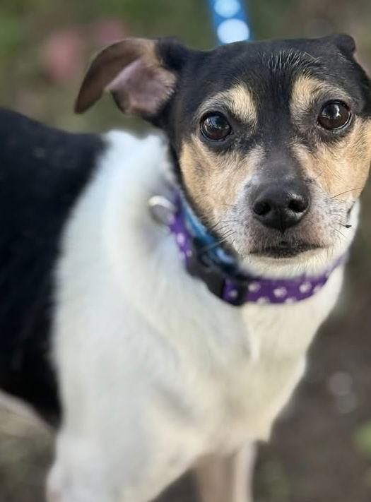 Max Owen thumbnail 3