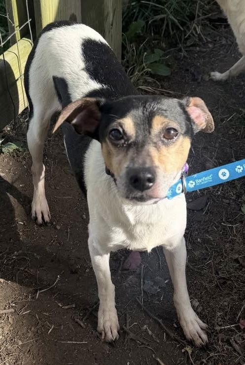 Max Owen thumbnail 4