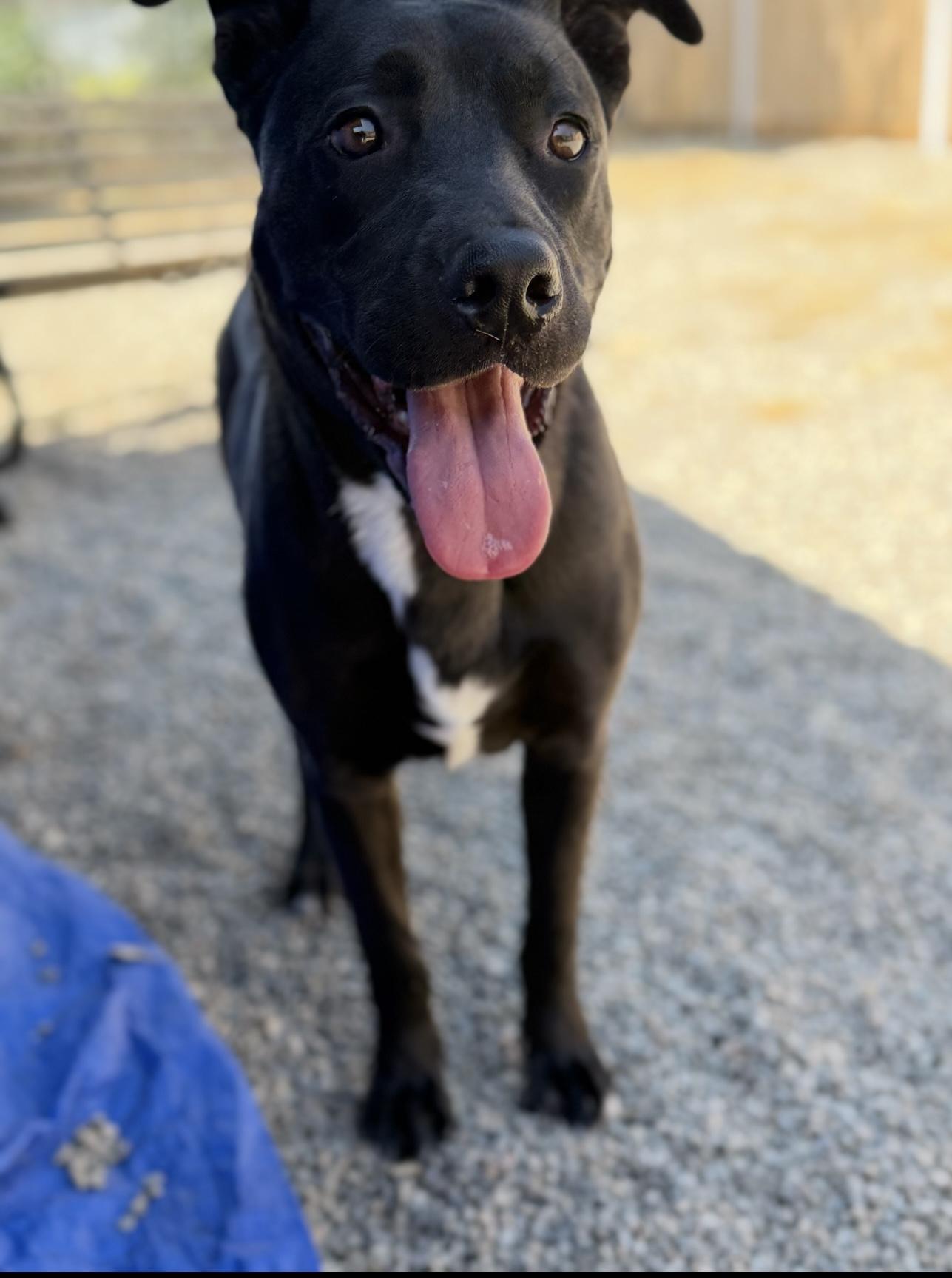 HURLEY